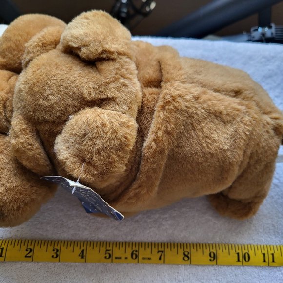 Carlton Cards Plush Bulldog with bone Class of 2000 With Tags see pictures - Picture 9 of 10